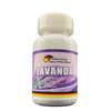 Lavanda - 60 Cápsulas